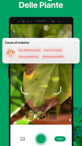 PictureThis Identificar Planta screenshot 4
