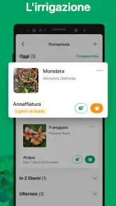 PictureThis Identificar Planta screenshot 5