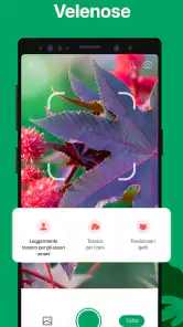 PictureThis Identificar Planta screenshot 6
