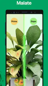 PictureThis Identificar Planta screenshot 7