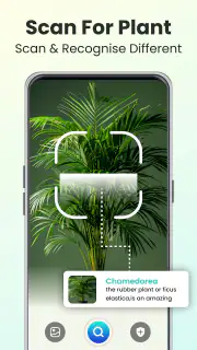 Plant Identifier - Plant Care screenshot 1