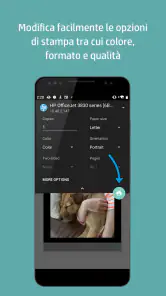 Plugin per i servizi di stampa screenshot 4