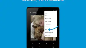 Plugin per i servizi di stampa screenshot 6