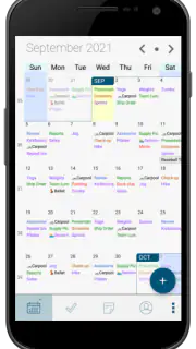Pocket Informant screenshot 1