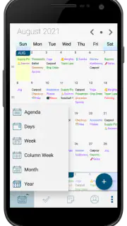 Pocket Informant screenshot 3