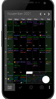 Pocket Informant screenshot 4