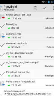 Ponydroid Download Manager screenshot 2