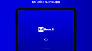 RaiNews screenshot 5