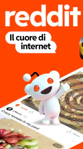 Reddit screenshot 1