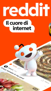 Reddit screenshot 1