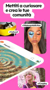 Reddit screenshot 2