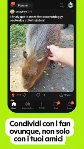 Reddit screenshot 5