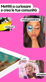 Reddit screenshot 8