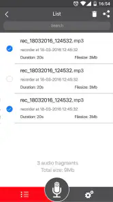 Registratore Vocale screenshot 6