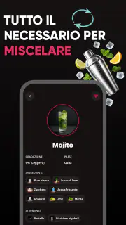 Ricette Cocktail e Drink screenshot 4