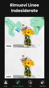 Rimuovi Oggetti dalle Foto screenshot 4