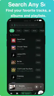 RiMusic screenshot 5