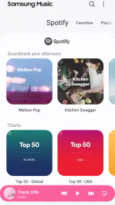 Samsung Music screenshot 2