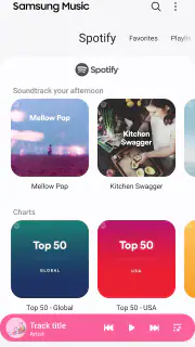 Samsung Music screenshot 2