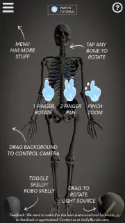 Skelly: Poseable Anatomy Model screenshot 2