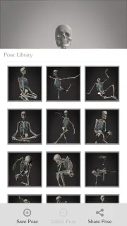 Skelly: Poseable Anatomy Model screenshot 4