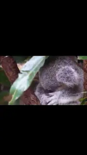U Player - Play Video URL screenshot 3