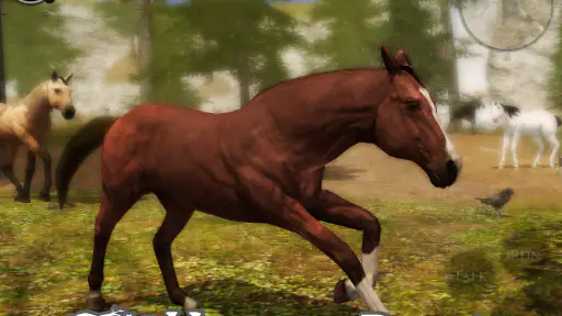 Ultimate Horse Simulator 2 screenshot 6