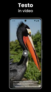 Video AI - Abbracci e Baci screenshot 6