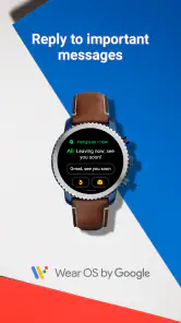Wear OS by Google screenshot 7