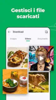 Web Scanner – Chat Doppia screenshot 5