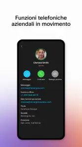 Webex screenshot 7