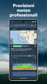 Windy.app: vento, onde e maree screenshot 2