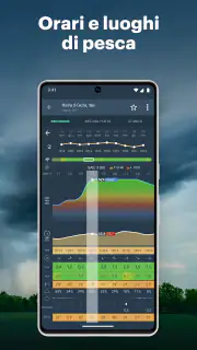 Windy.app: vento, onde e maree screenshot 4