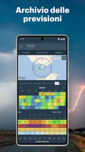Windy.app: vento, onde e maree screenshot 7
