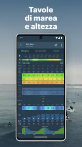 Windy.app: vento, onde e maree screenshot 8
