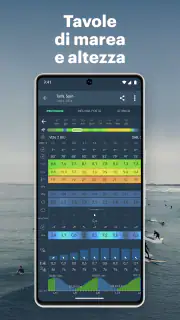Windy.app: vento, onde e maree screenshot 8