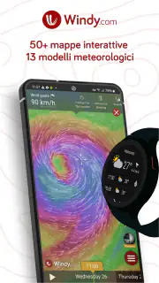 Windy.com - Previsioni meteo screenshot 1