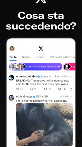 X (Precedentemente Twitter) screenshot