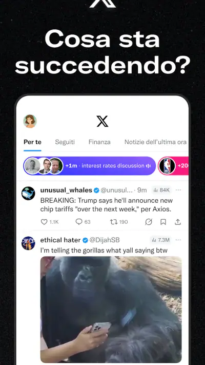 X (Precedentemente Twitter) screenshot 1