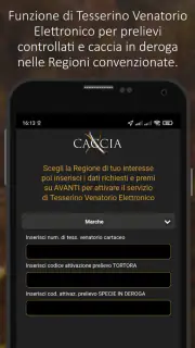 XCaccia screenshot 7