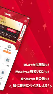30PAY screenshot 2