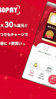 30PAY screenshot 4