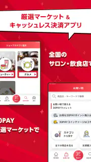 30PAY screenshot 6
