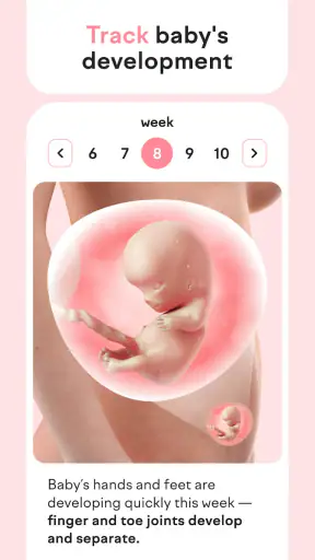 amma 妊娠出産アプリ:妊娠と出産のすべてがわかるアプリ screenshot