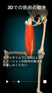 Anatomy Learning - 3D解剖学 screenshot 2