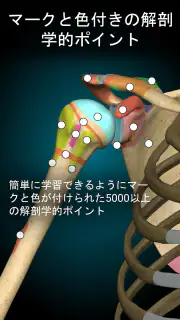 Anatomy Learning - 3D解剖学 screenshot 3