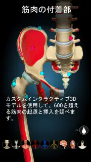 Anatomy Learning - 3D解剖学 screenshot 4