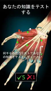 Anatomy Learning - 3D解剖学 screenshot 5