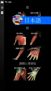 Anatomy Learning - 3D解剖学 screenshot 6