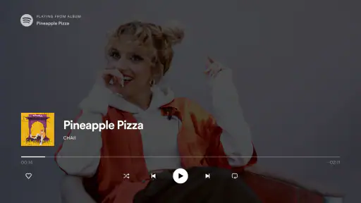 Android TV用Spotifyミュージック screenshot